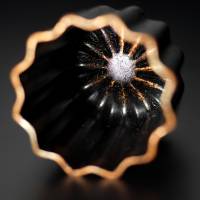 Frank BRUNET D'AUBIAC - FBAP SARL